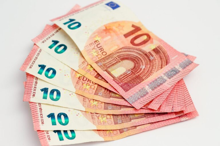 the euro